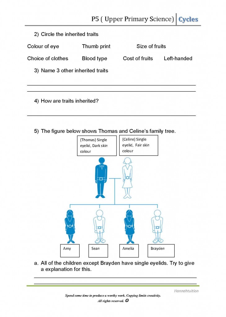 P5 Hereditary and alittle Reproduction Qns_Page_2