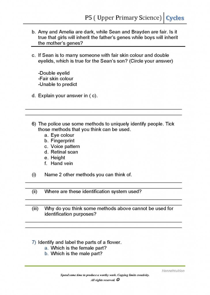 P5 Hereditary and alittle Reproduction Qns_Page_3