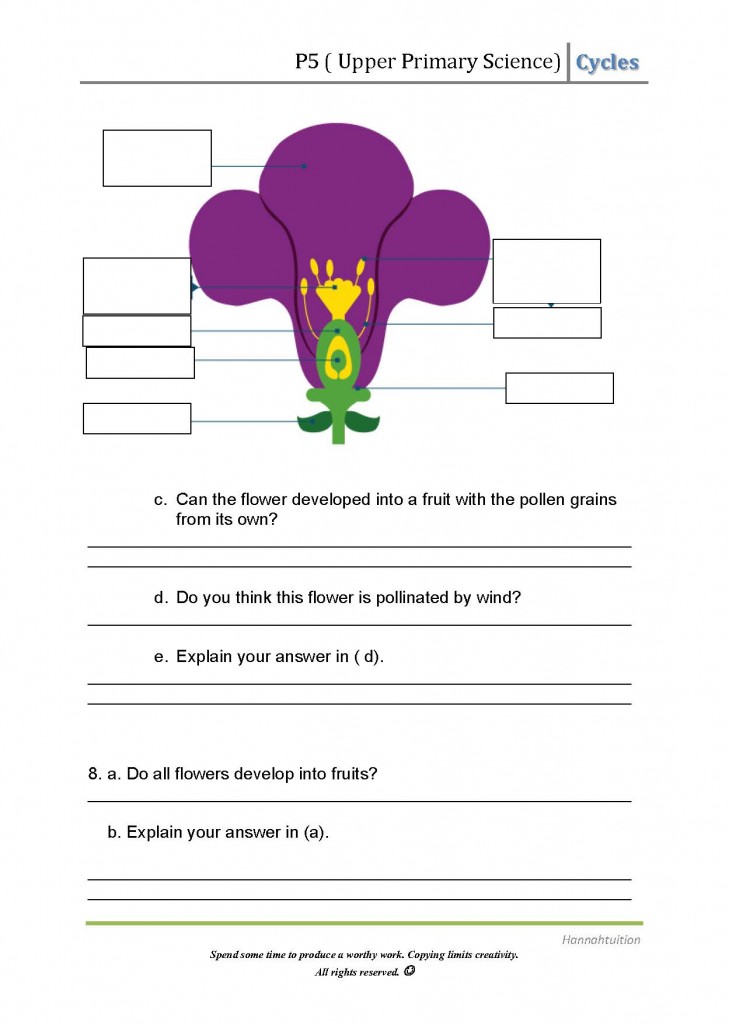 P5 Hereditary and alittle Reproduction Qns_Page_4