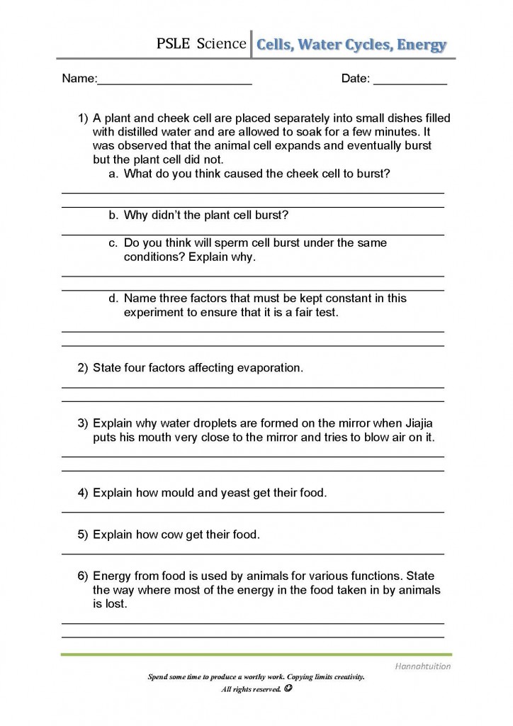 P6 Cells, water cycles, Energy Revision wksheet haven post
